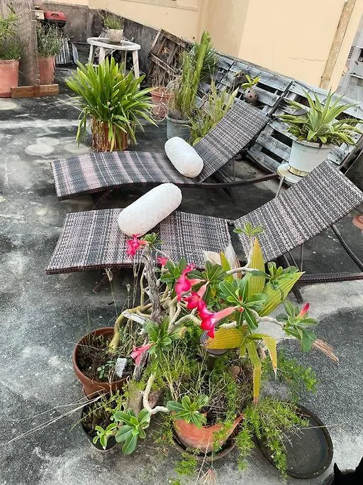Fresh Tropical Colonial Style Walk-Up- Rooftop Terrace- Beach View 圣胡安 公寓