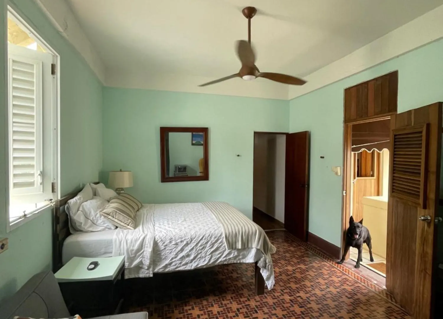 Fresh Tropical Colonial Style Walk-Up- Rooftop Terrace- Beach View San Juan Apartamento